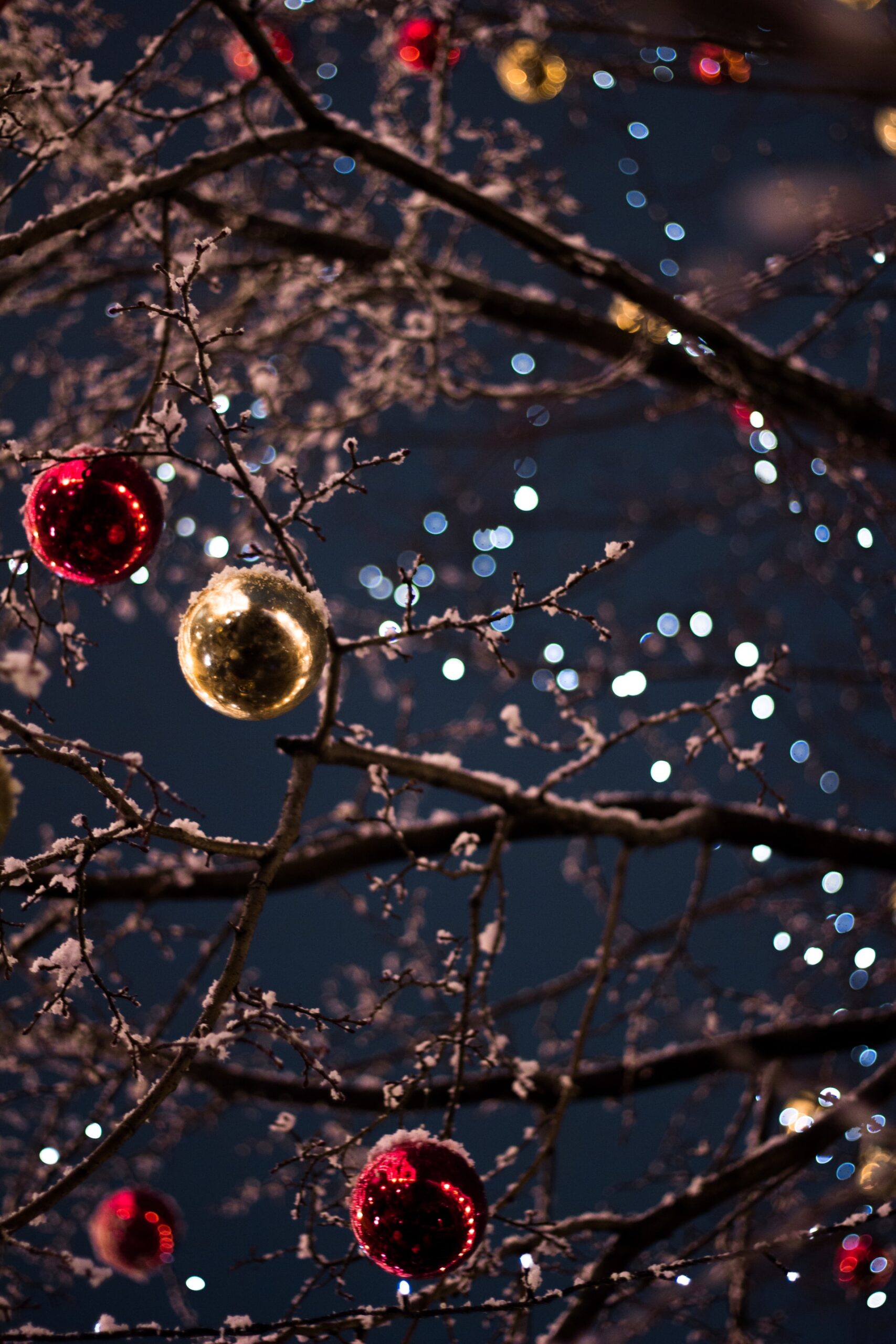 Christmas events grimsby baubles hanging off an outdoor tree with sparkly lights behind