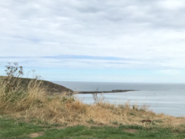 Filey brig North Yorkshire Coast Attractions