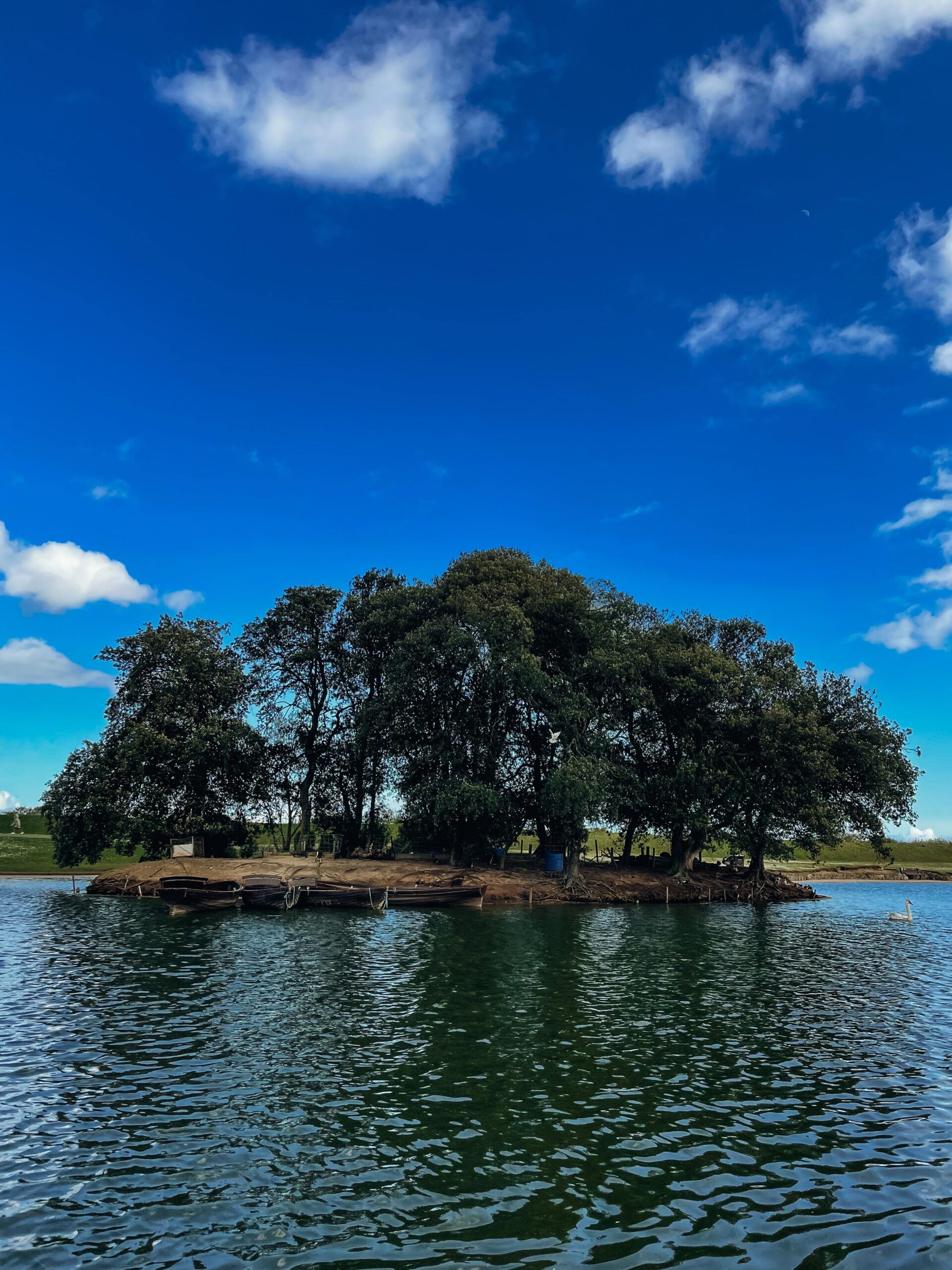 boating lake island with tree can be viewed closer on a boat