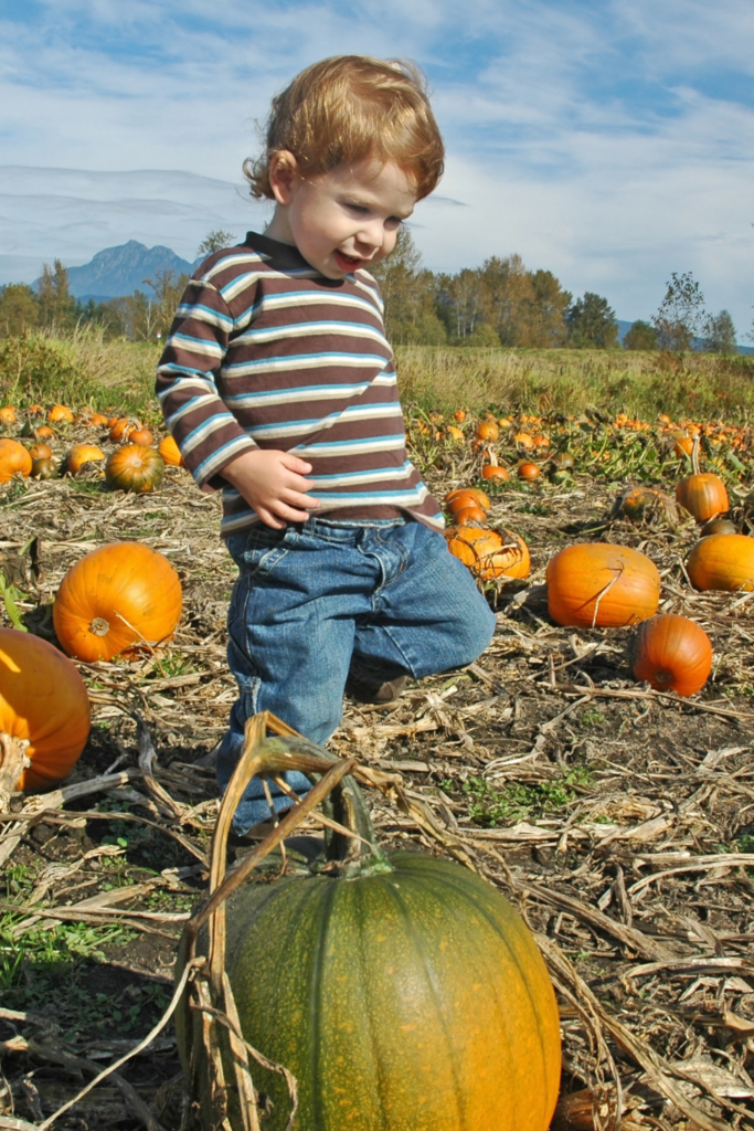 child picking pumpkins