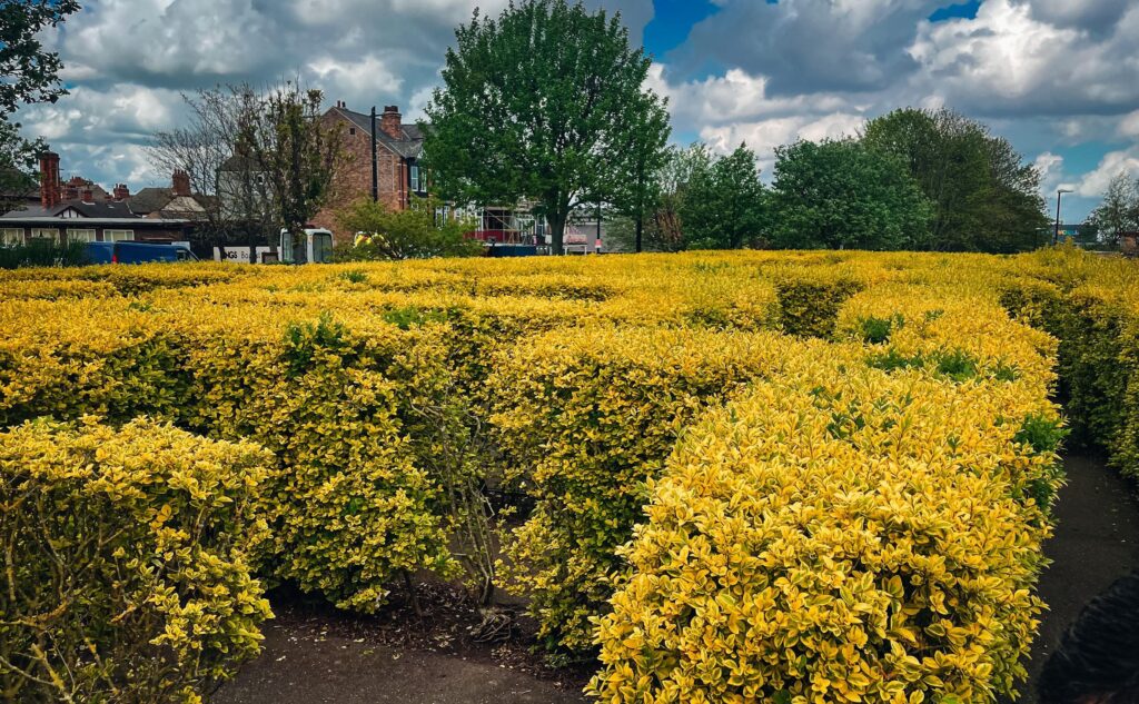 Cleethorpes Pier Gardens Maze